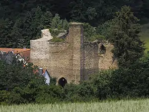 Burg Wallrabenstein
