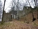 Gesamtansicht der Burg von Südwesten