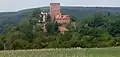 Burg Gamburg von oben