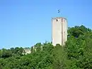 Burg Greene von Westen
