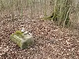 Steinreste auf dem Burgplateau