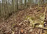 Rand des Burgplateaus mit Fundament- und Dachziegelresten