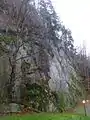 Hangseitige Felswand