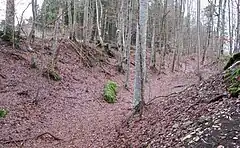 Bild 3: Gegen die Albhochfläche hin ausgerichteter Halsgraben, teils als Spitz-, teils als Sohlegraben ausgebildet