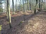 Das dreifache Wallsystem vor dem inneren Ringgraben