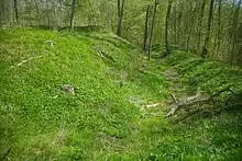 Burgwall mit Graben