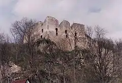 Palas der mittelalterlichen Burg, 1996