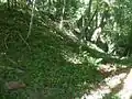 Südlicher Graben der Burg Stein