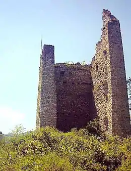 Bergfried einer Ministerialenburg des Stiftes Kempten: Der zeitweilig bewohnbare Hauptturm der Burg Vilsegg (Tirol). Die Balkenlöcher lassen die ehemalige Geschosseinteilung erkennen