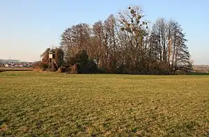 Burg Wachenbuchen, Rest einer Turmhügelburg