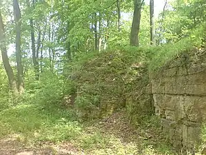 Birkenstein, Eichsfeld (bis 1294 im Besitz)