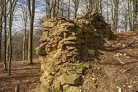 Rest der Zwingermauer