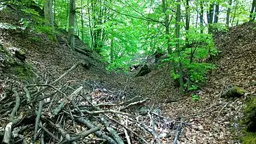 Der Halsgraben