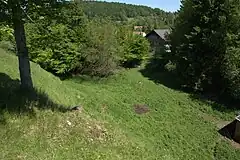 Bild 6: Die nordöstliche Unterburg von der Stelle der Oberburg aus
