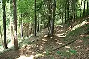 Bild 7: Der südliche Teil des Ringgrabens der Hauptburg (2010)