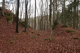 Bild 4: Am deutlichsten profilierte Stelle des Grabens und des Vorwalles im Nordosten (November&nbsp;2013)