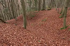 Bild 6: Vermutliche Kellergrube eines Gebäudes der Burg, rechts der Bildmitte L-förmiger Grundmauerrest (November&nbsp;2013)