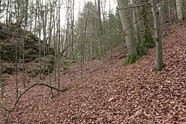 Bild 6: Profil des Grabens, links die Burgstelle (Dezember&nbsp;2014)