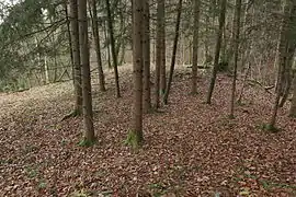 Bild 8: Blick über die leicht erhöhte südöstliche Seite der Burgstelle (Dezember&nbsp;2014)