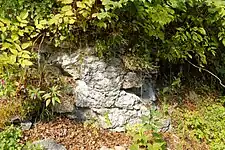 Mauerrest
