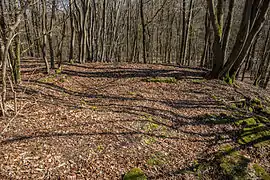Bild 7: Stelle eines quadratischen Gebäudes, am rechten Bildrand ist noch die Einmündung der Treppenanlage zu erkennen (März&nbsp;2015)