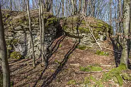 Bild 8: Südseite des Burgfelsens, im Bild sind auch die Treppenstufen erkennbar, die durch einen Felsspalt auf das Felsplateau führen (März&nbsp;2015)