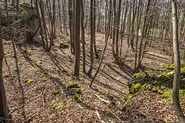 Bild 9: Blick von Nordteil des Burgfelsens auf die Einmuldung sowie den Ringgraben und Ringwall  (März&nbsp;2015)