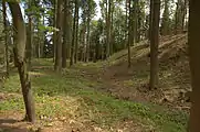 Bild 2: Blick auf den stark verflachten nördlichen Teil des Ringgrabens