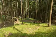 Bild 6: Der nördliche Abraumhügel am Steilhang im Osten