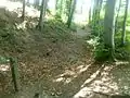 Burgstall Holzöster: Burggraben