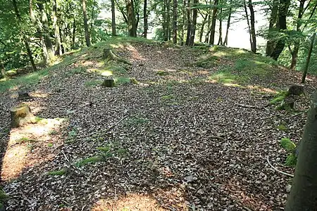 Bild 5: Die höchste Stelle des Burgstalls mit Grundmauerrest eines vermutlich turmförmigen Gebäudes