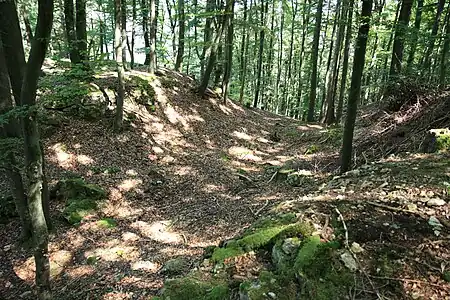 Bild 6: Halsgraben des Burgstalls, links der Bereich der Burg
