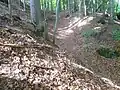 Burgstall Morau: Burggraben