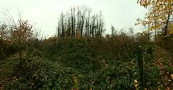 Panorama des Burgstalles vom Burggraben im Westen