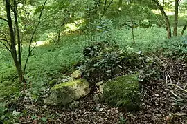 Bild 6: Mauerquader am Fuß des Nordhanges der Kernburg (Juli&nbsp;2012)
