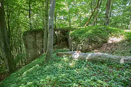 Bild 7: Felsen am Südwesteck der Kernburg (Juni&nbsp;2015)