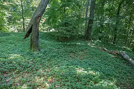 Bild 8: Blick über das Kernburgplateau, im Bildhintergrund eine kleine Mulde, wohl der Standort eines Gebäudes (Juni&nbsp;2015)