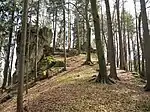 Bild 5: Ansicht des Burghügels aus nördlicher Richtung