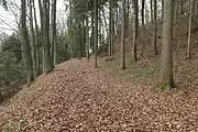 Bild 5: Zu einer Terrasse verflachter Ringwallabschnitt an der Südwestseite des Bergkegels (Dezember 2013)