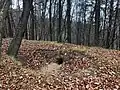 Runde Vertiefung, möglicher Standort einer Zisterne (mit Fuchsbau)