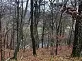 Blick nach Westen zum Rhein