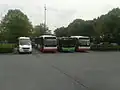Mehrere Busse am Busbahnhof, unter anderem ein deutscher Bus der NIAG nach Duisburg
