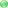 Grüner-Bezirksbürgermeister