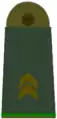 Oberfeldwebel