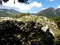 Burgruine von La Pedra