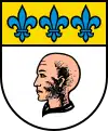 Wappen von Borgnone