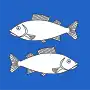 Fischenthal