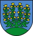 Wappen von Meierskappel