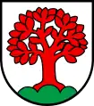 Buche für Schönenbuch