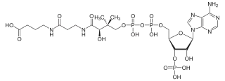Strukturformel von CMX
